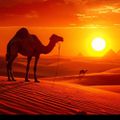 Desert Mystery Subliminal
