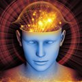 Emdr Trauma And Phobia Treatment