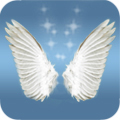Angel Cards