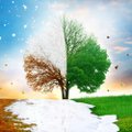 Magic And Connection With Mother Earth